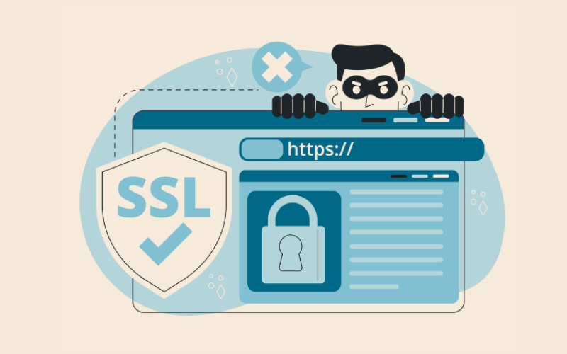 What is Password Salting? Understanding Salted Hashing in WordPress Beyond MD5